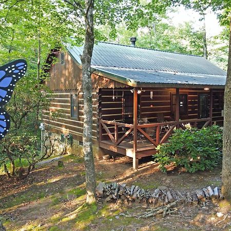 Villa Laurel Creek- Blue Ridge Extérieur photo