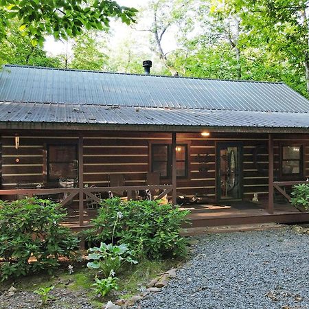 Villa Laurel Creek- Blue Ridge Extérieur photo
